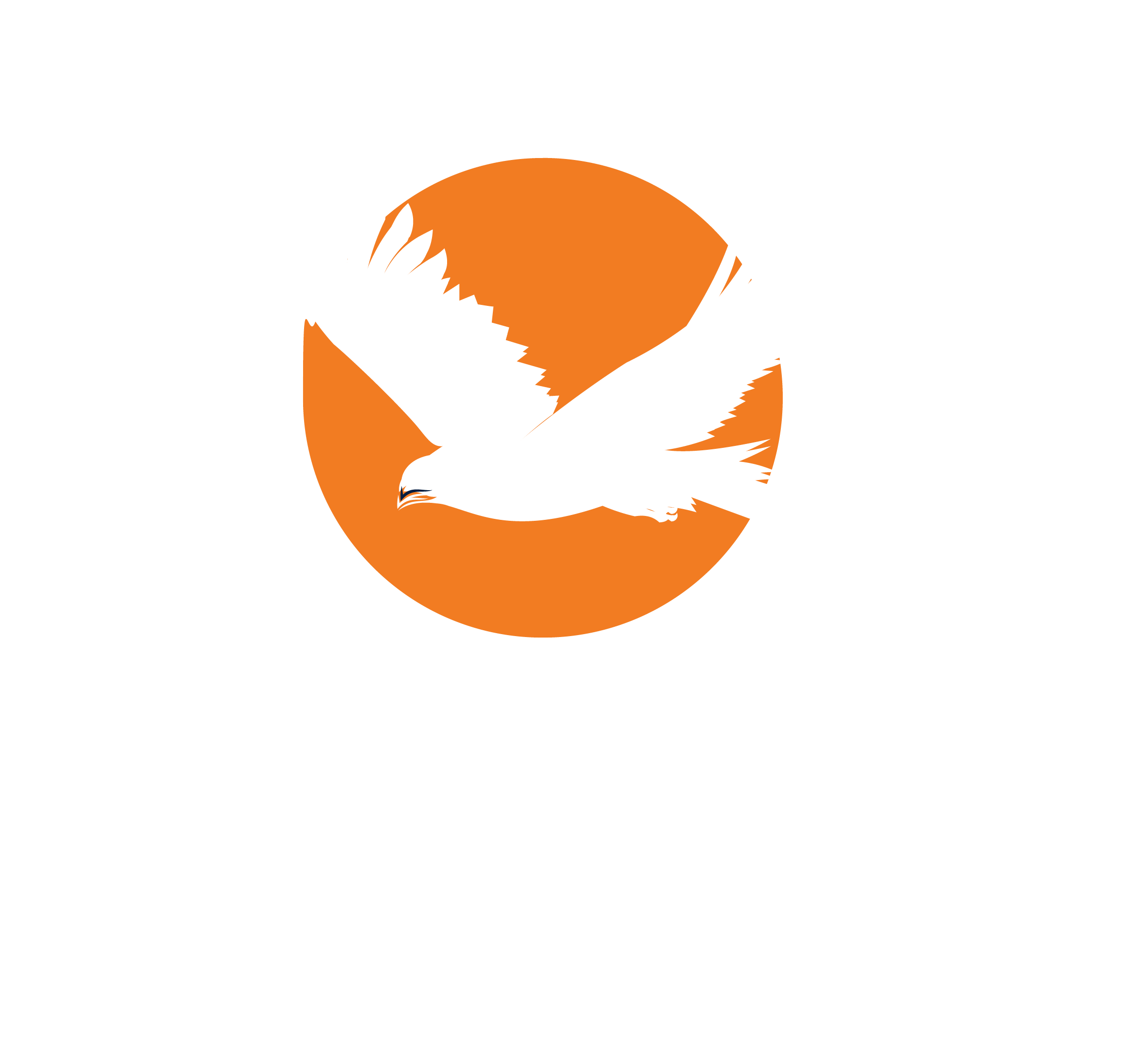 HDF Consulting